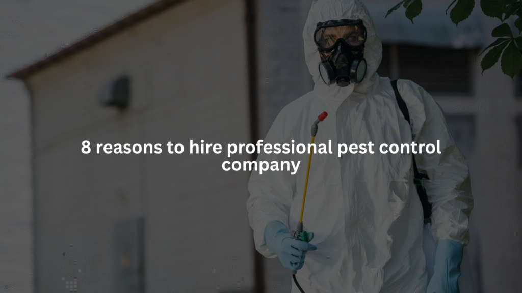 8 Reasons To Hire Professional Pest Control Company