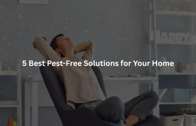 5 Best Pest-Free Solutions for Your Home