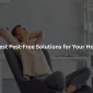5 Best Pest-Free Solutions for Your Home