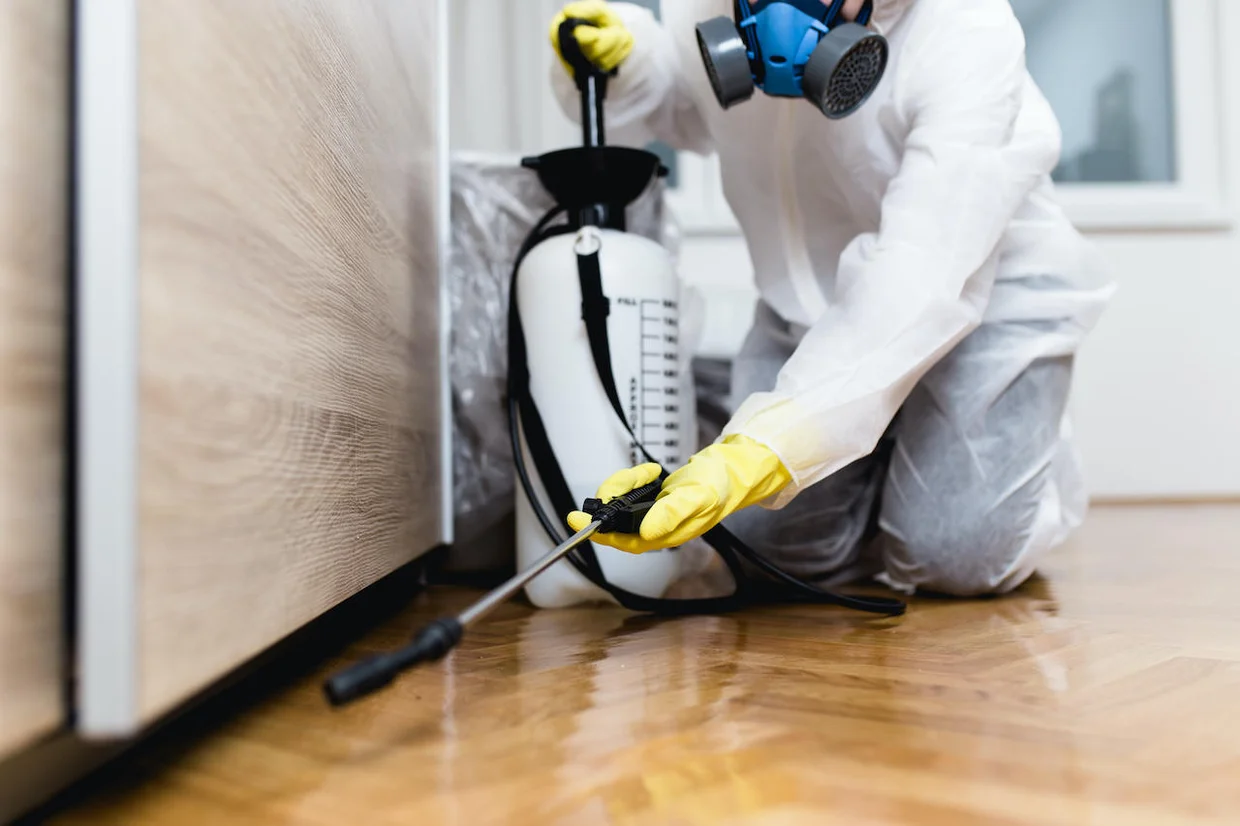 Why do you need to hire a professional pest control company?