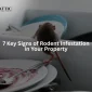 7 Key Signs of Rodent Infestation in Your Property