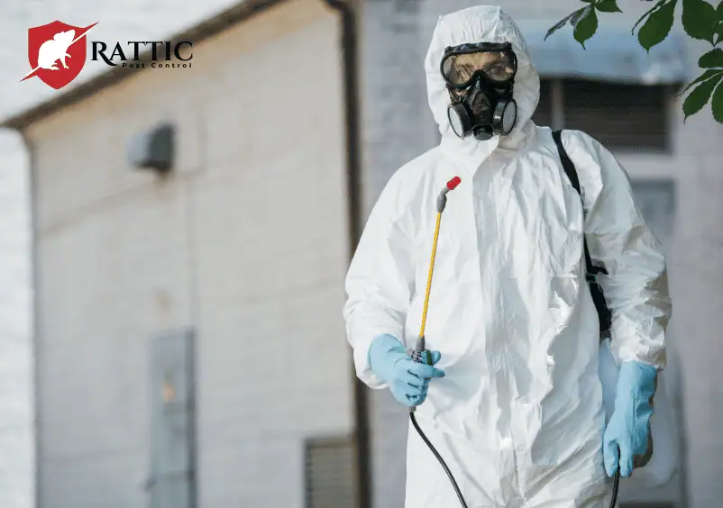 Pest Control in Windsor