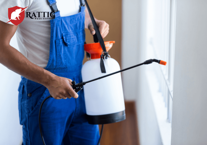 Pest Control Services in Gerrards Cross